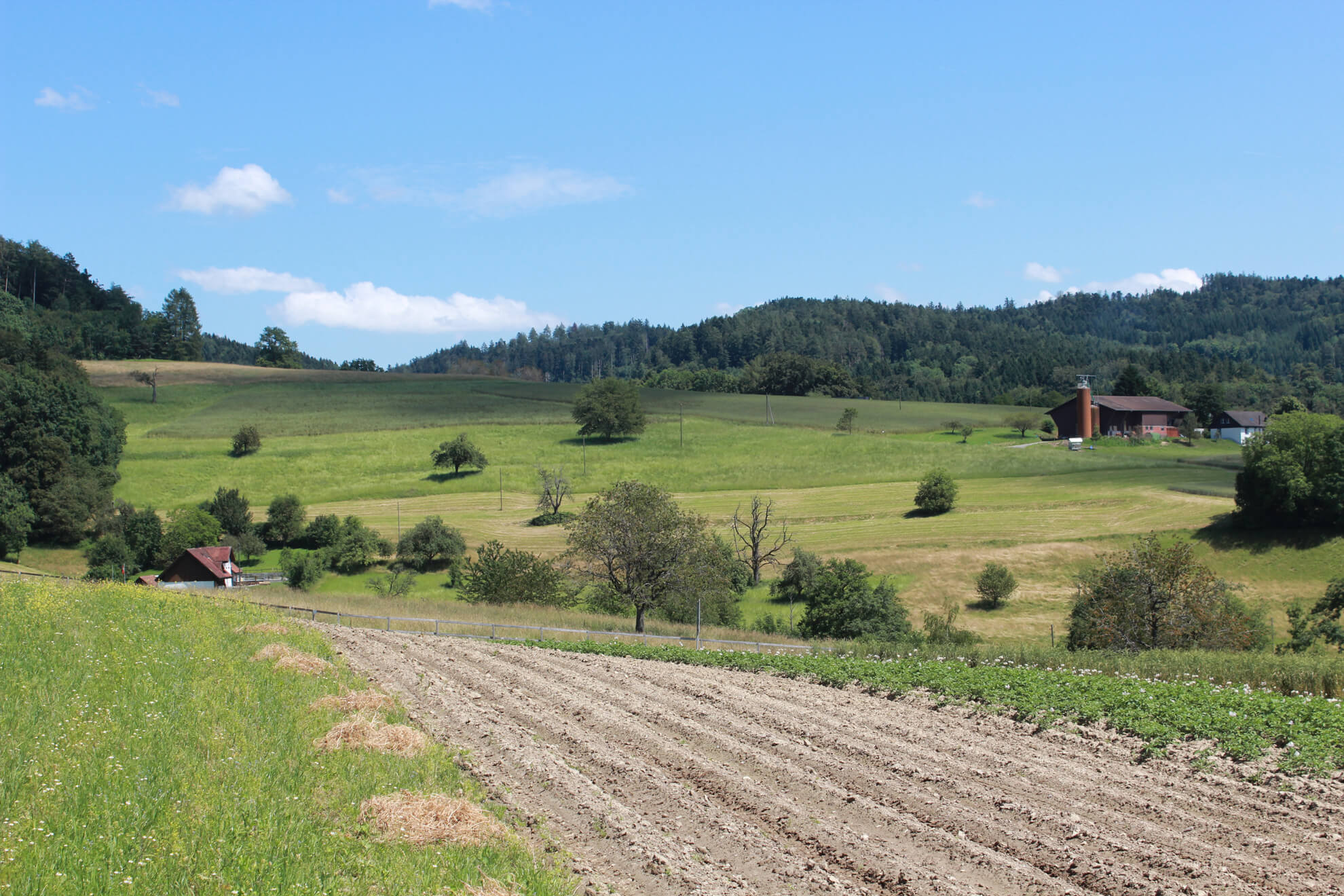 Diploma Perito Agrario Grandi Scuole