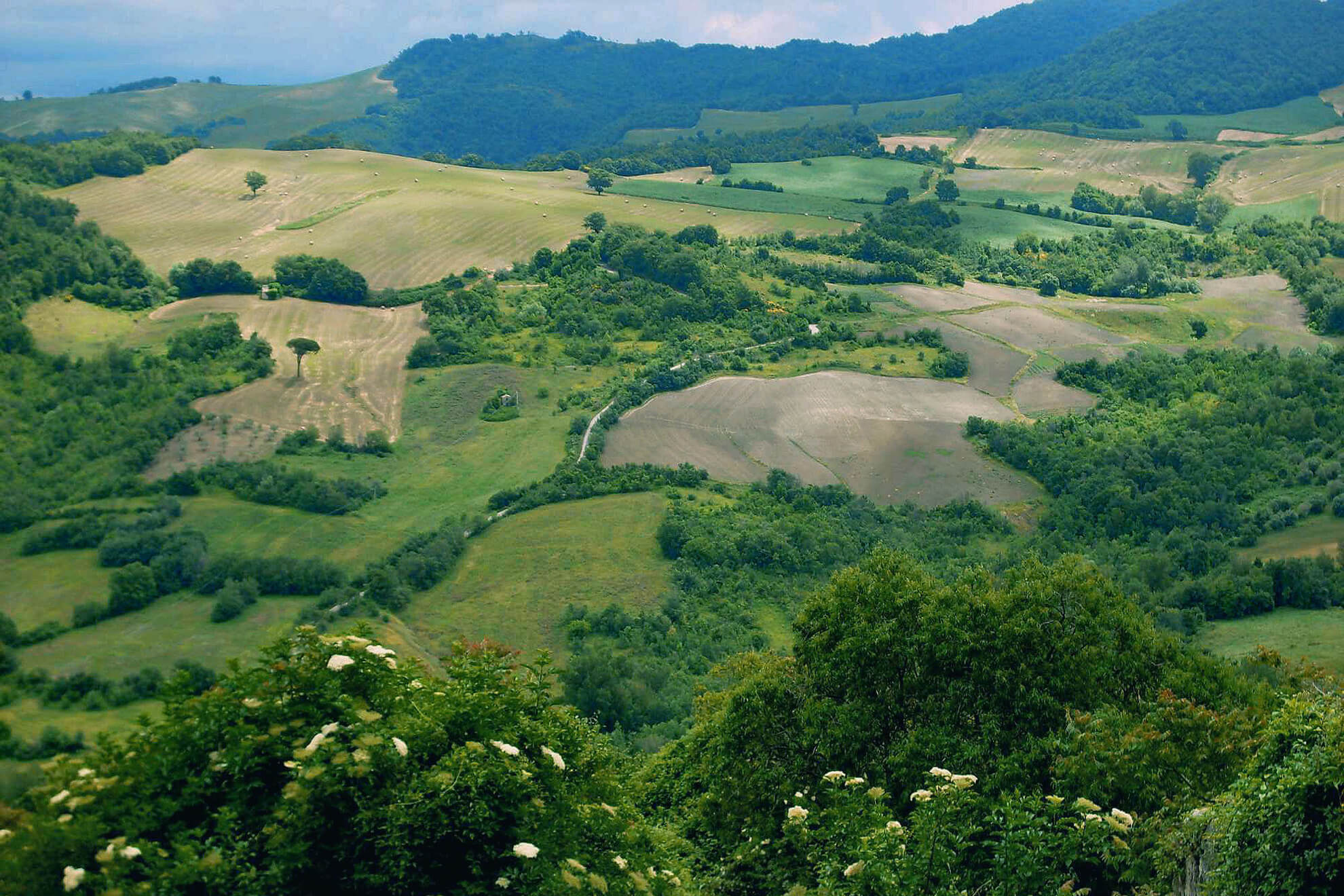 Recupero Anni Scolastici Molise